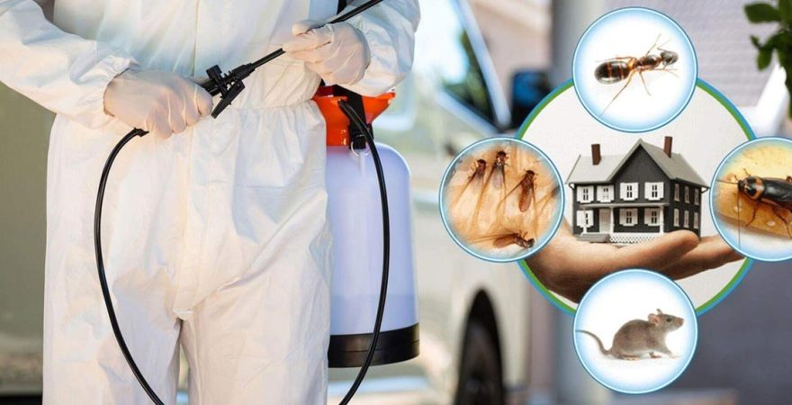 Sarıoğlan Böcek İlaçlama