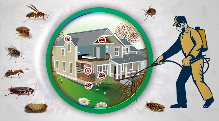 Sarıoğlan Böcek İlaçlama