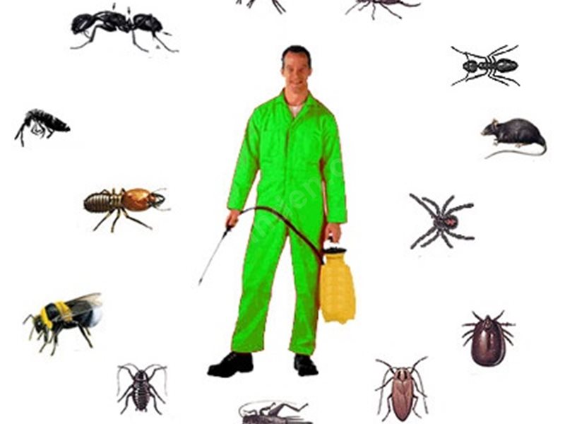 Sarıoğlan Böcek İlaçlama